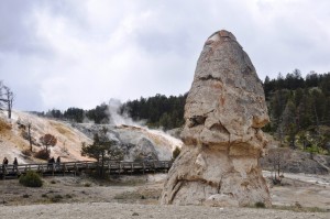 USA - NP - Yellowstone